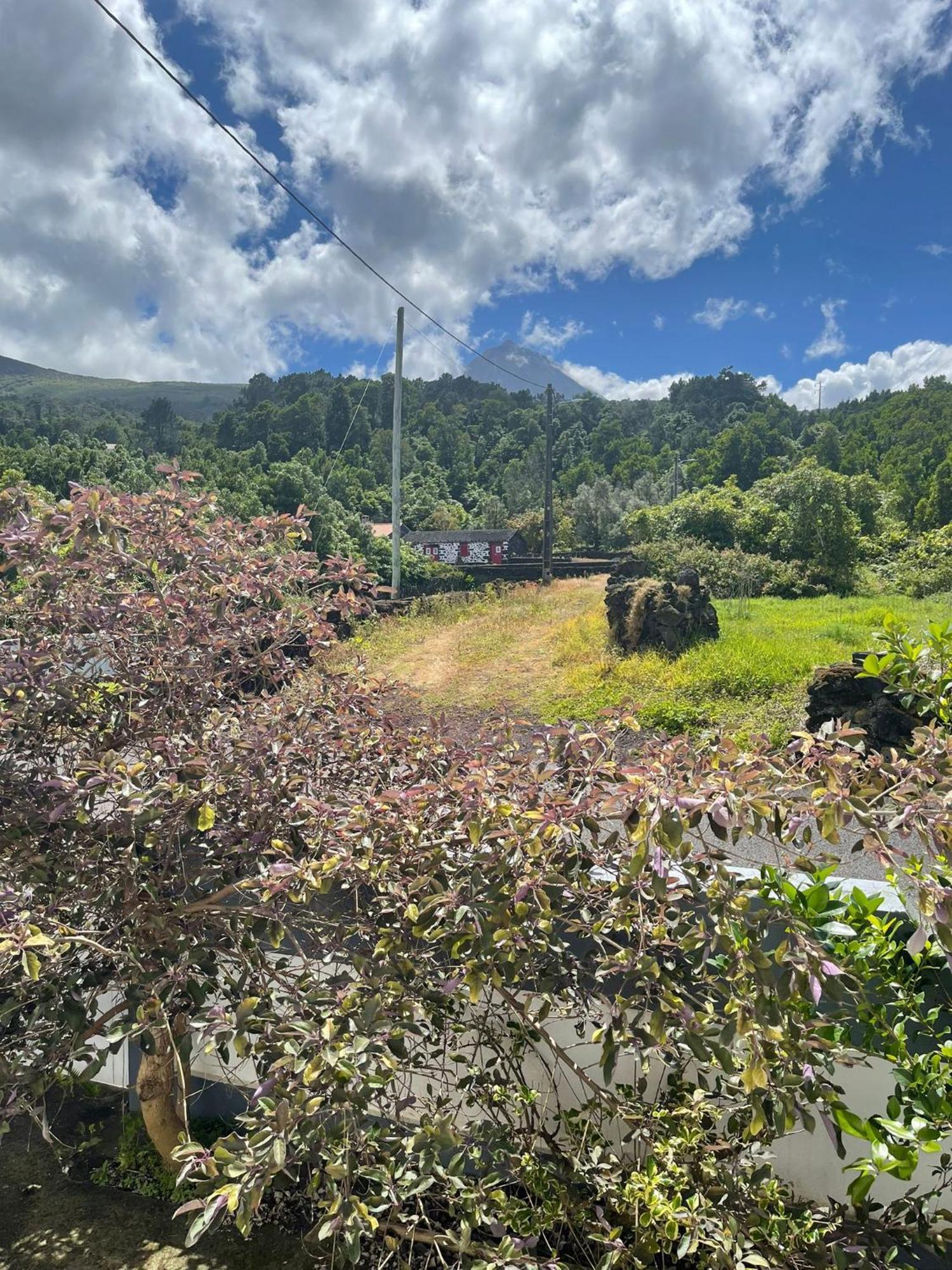 Residencias Requinte Sao Roque do Pico Bagian luar foto